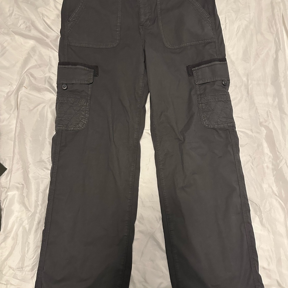 American Eagle Outfitters Dark Gray Cargo Pants